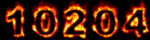 web site hit counter