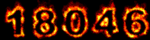 Web
 Page Visitor Counters
