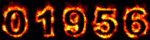 free hit counters
