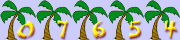 web page counter