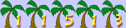 web site hit counter