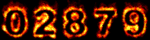 Website Counter