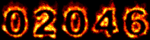 Web Site Visitor Counter