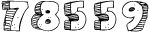 web page counter