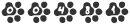 Web Site Counters