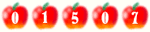 Website Visitor Counter