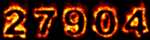 Web Site Hit Counters
