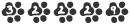 count website hits