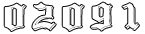 Web Site Counter