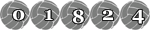 Web Page Hit Counter